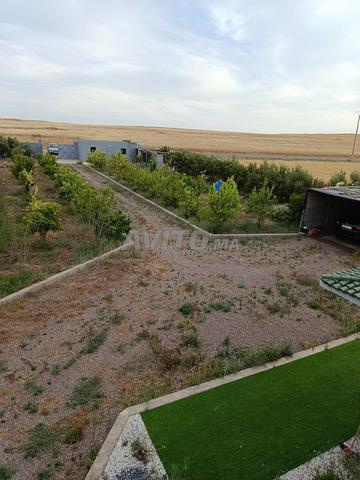 Ferme d'oliviers 11150 m² à vendre à Marrakech — Photo 8