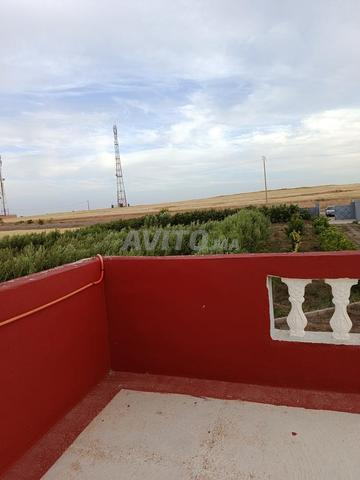 Ferme d'oliviers 11150 m² à vendre à Marrakech — Photo 12