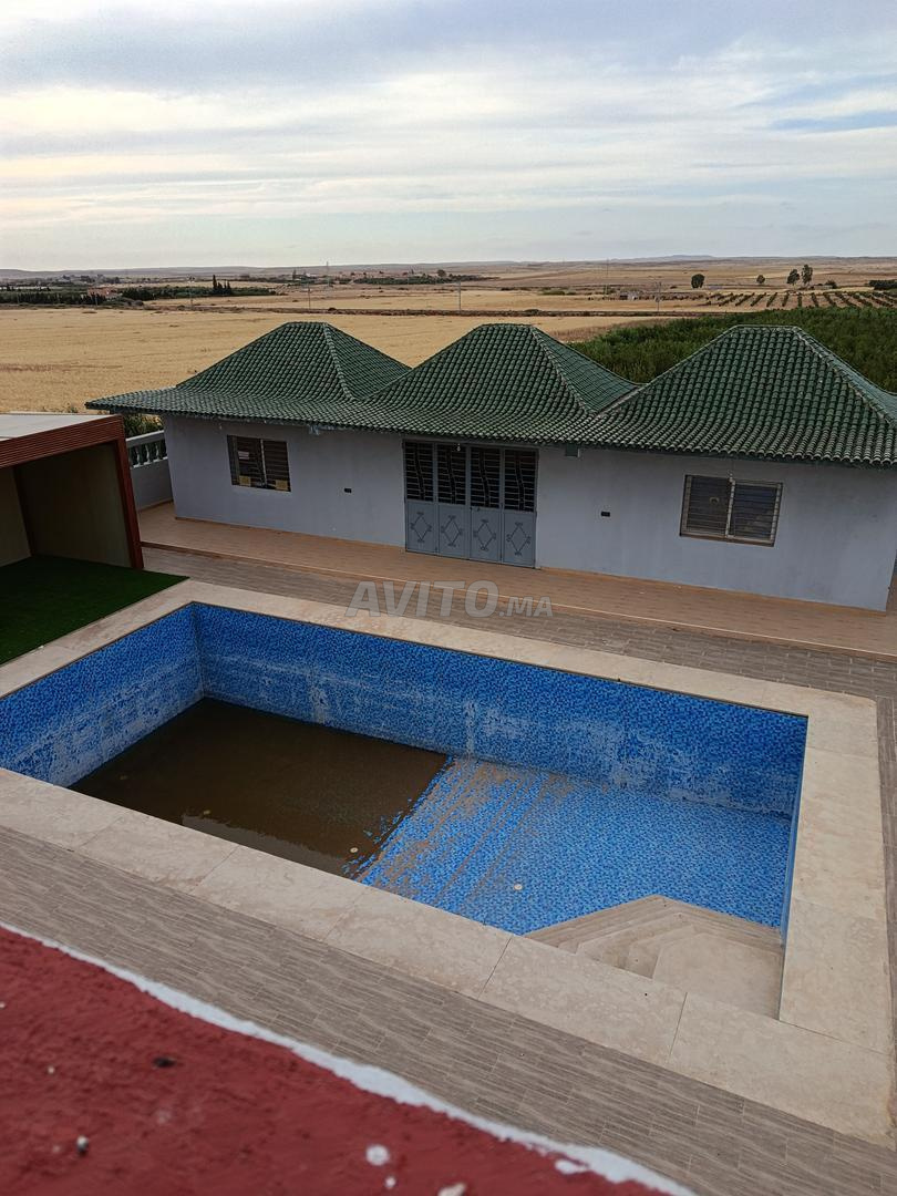 Ferme d'oliviers 11150 m² à vendre à Marrakech — Photo 5