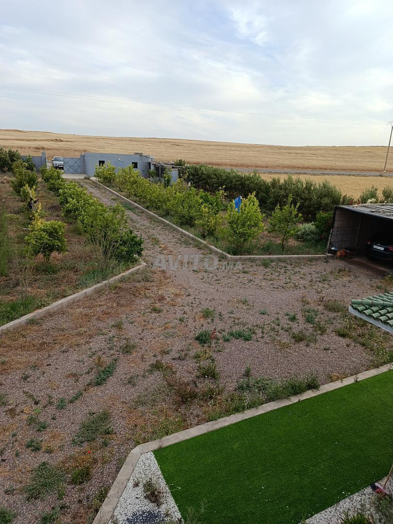 Ferme d'oliviers 11150 m² à vendre à Marrakech — Photo 7