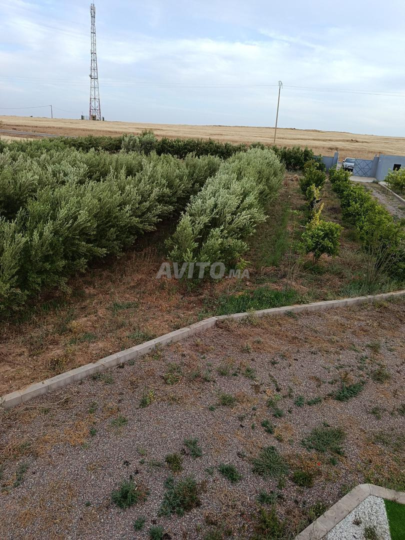 Ferme d'oliviers 11150 m² à vendre à Marrakech — Photo 9