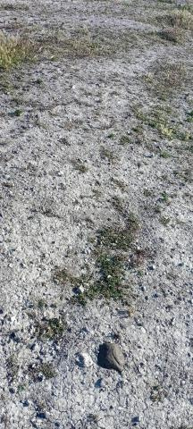 أرض 100 متر مربع للبيع في سبأ أيون — Photo 2