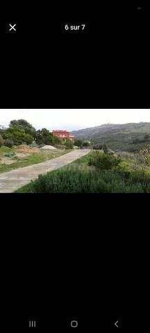 Villa with 6000 m² land for sale in Tangier — Photo 5