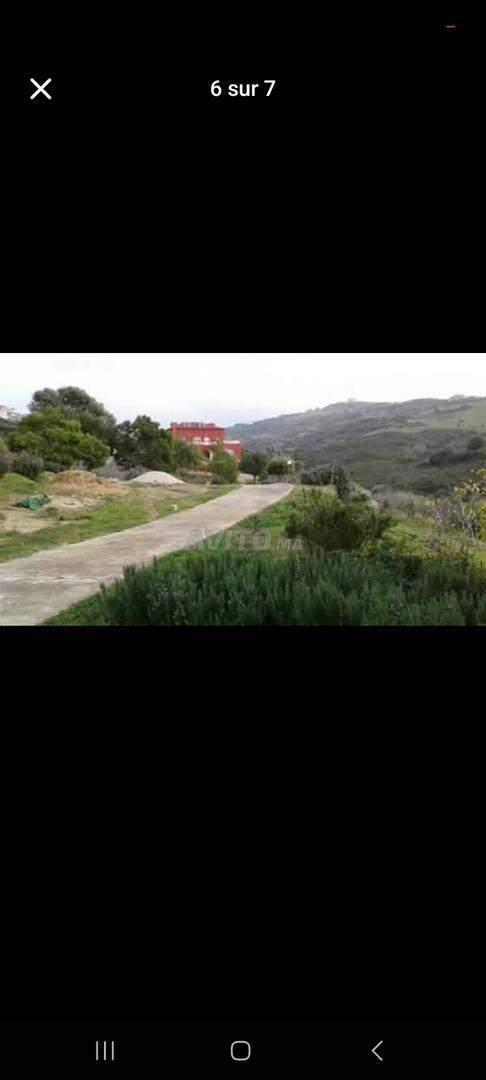 Villa with 6000 m² land for sale in Tangier — Photo 6