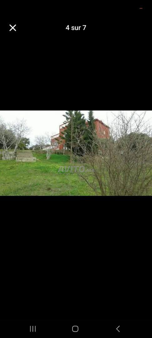 Villa with 6000 m² land for sale in Tangier — Photo 8
