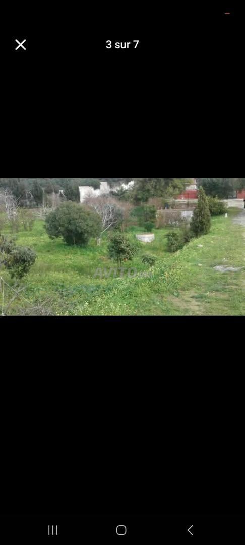 Villa with 6000 m² land for sale in Tangier — Photo 10