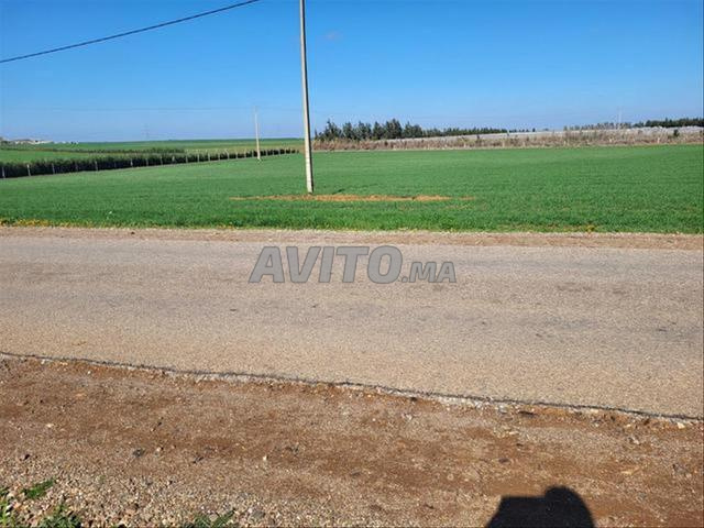 Land for sale 5,000 m² in Bir Jdid — Photo 3