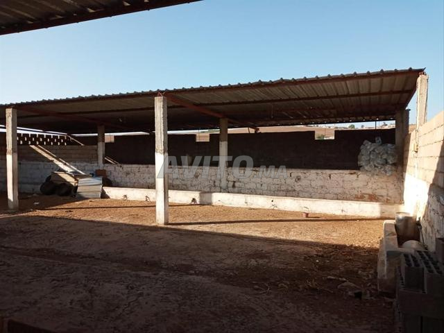 أرض للبيع 4300 م² في سطات — Photo 10