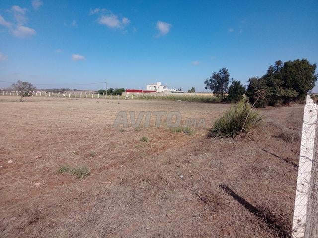 Terrain 140004 m² à vendre à Sidi Allal Bahraoui — Photo 15