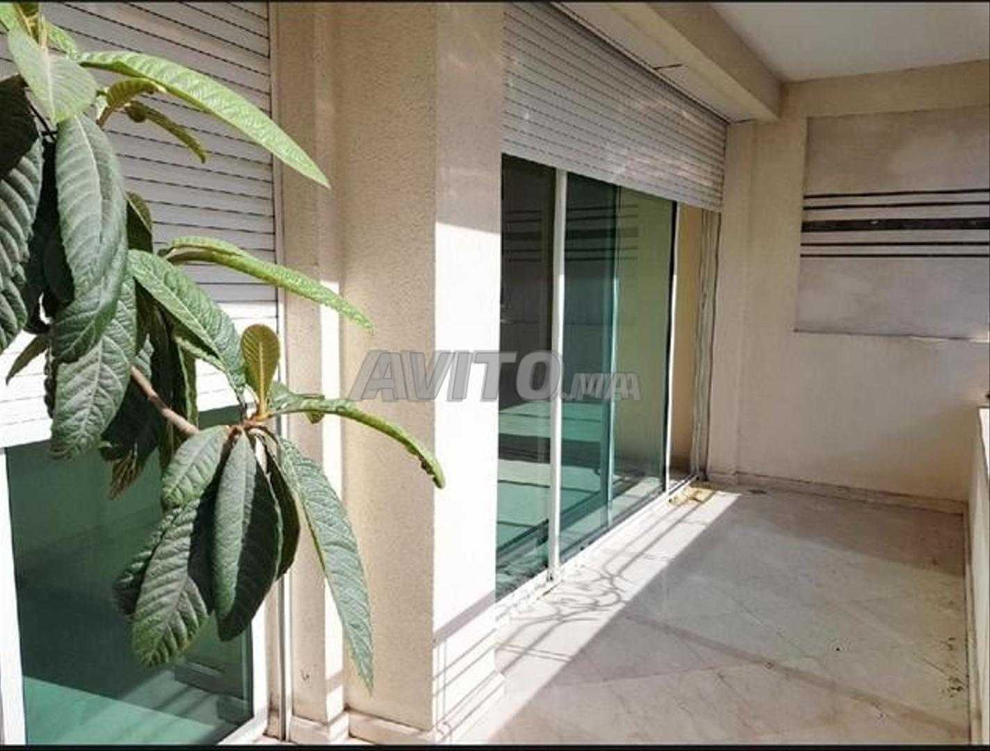 3-Bedroom Apartment for Rent in Tanger (Iberia) — Photo 4