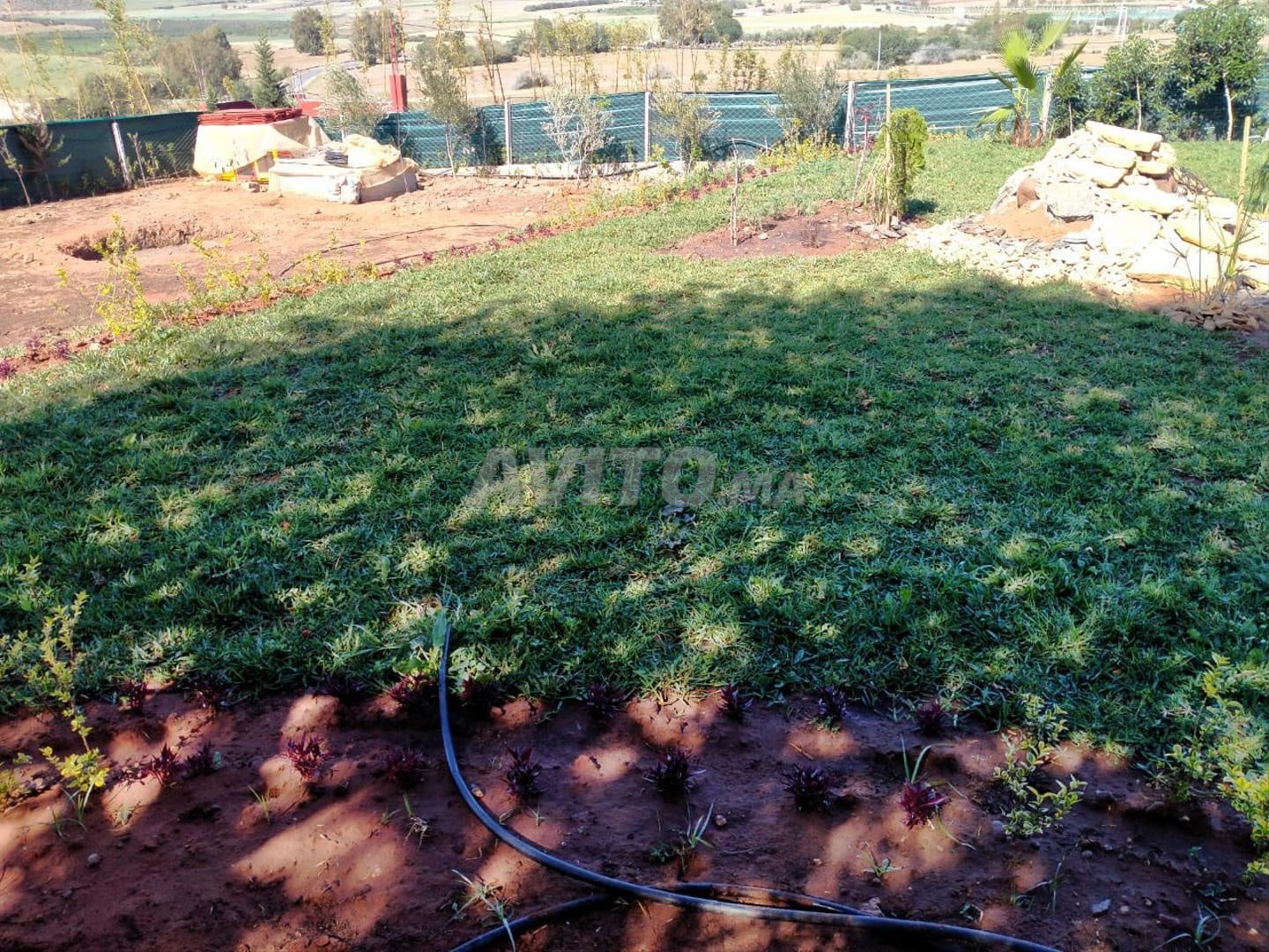 Petite ferme 1000 m² à vendre à Salé — Photo 8
