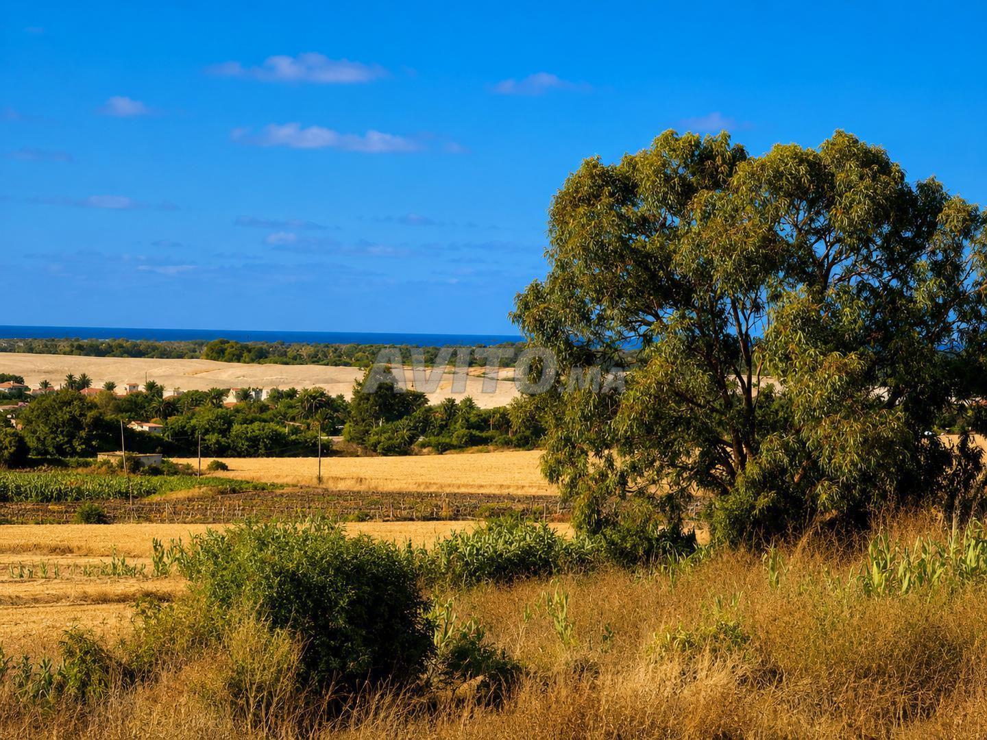 Land 40000 m² for sale in El Jadida