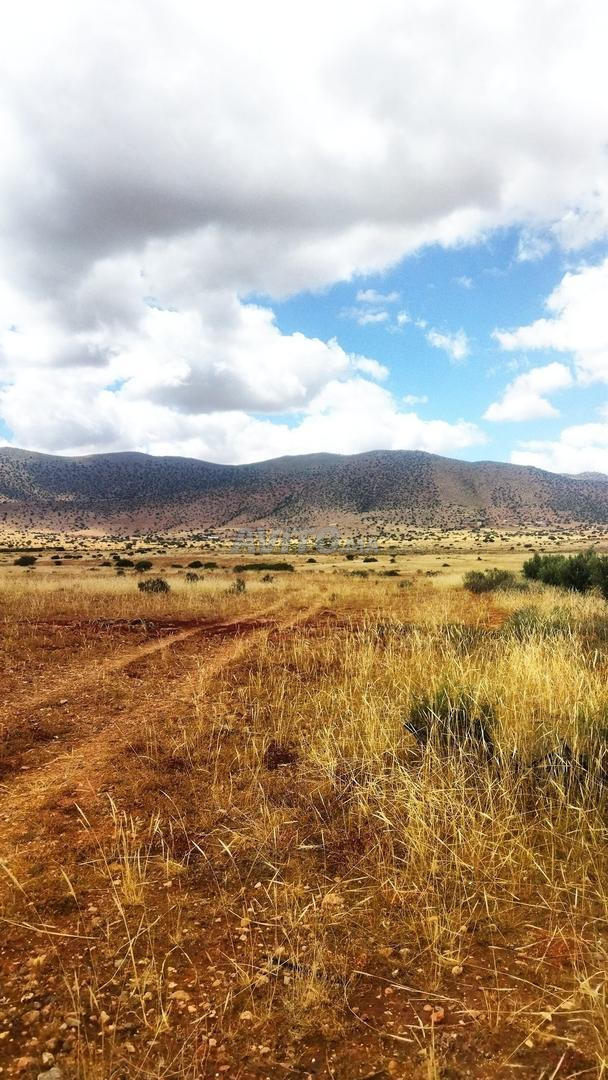 Terrain agricole titré 2500 m² à vendre à Agadir — Photo 6