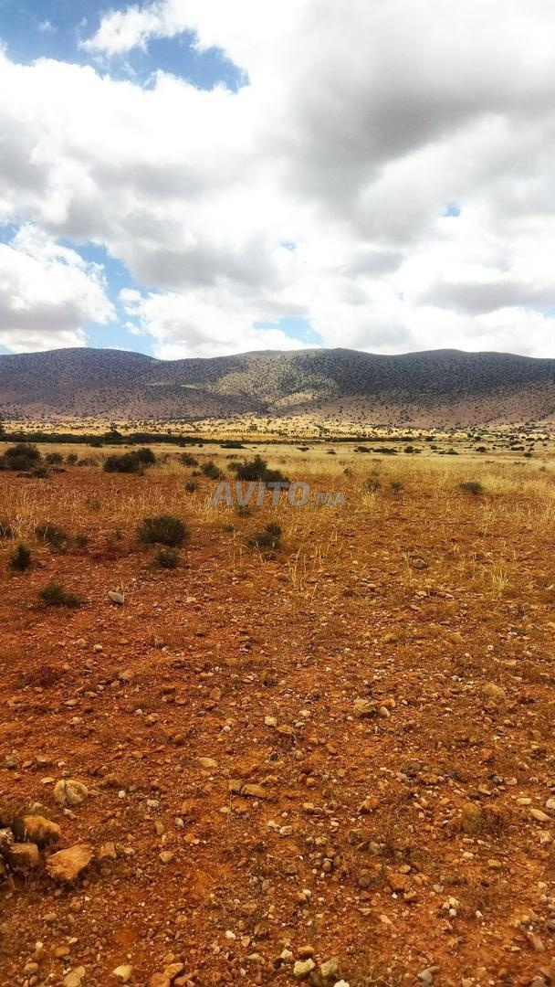 Terrain agricole titré 2500 m² à vendre à Agadir — Photo 8