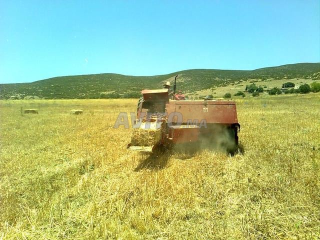 أرض 25000 م² للبيع في الرباط الخير — Photo 2
