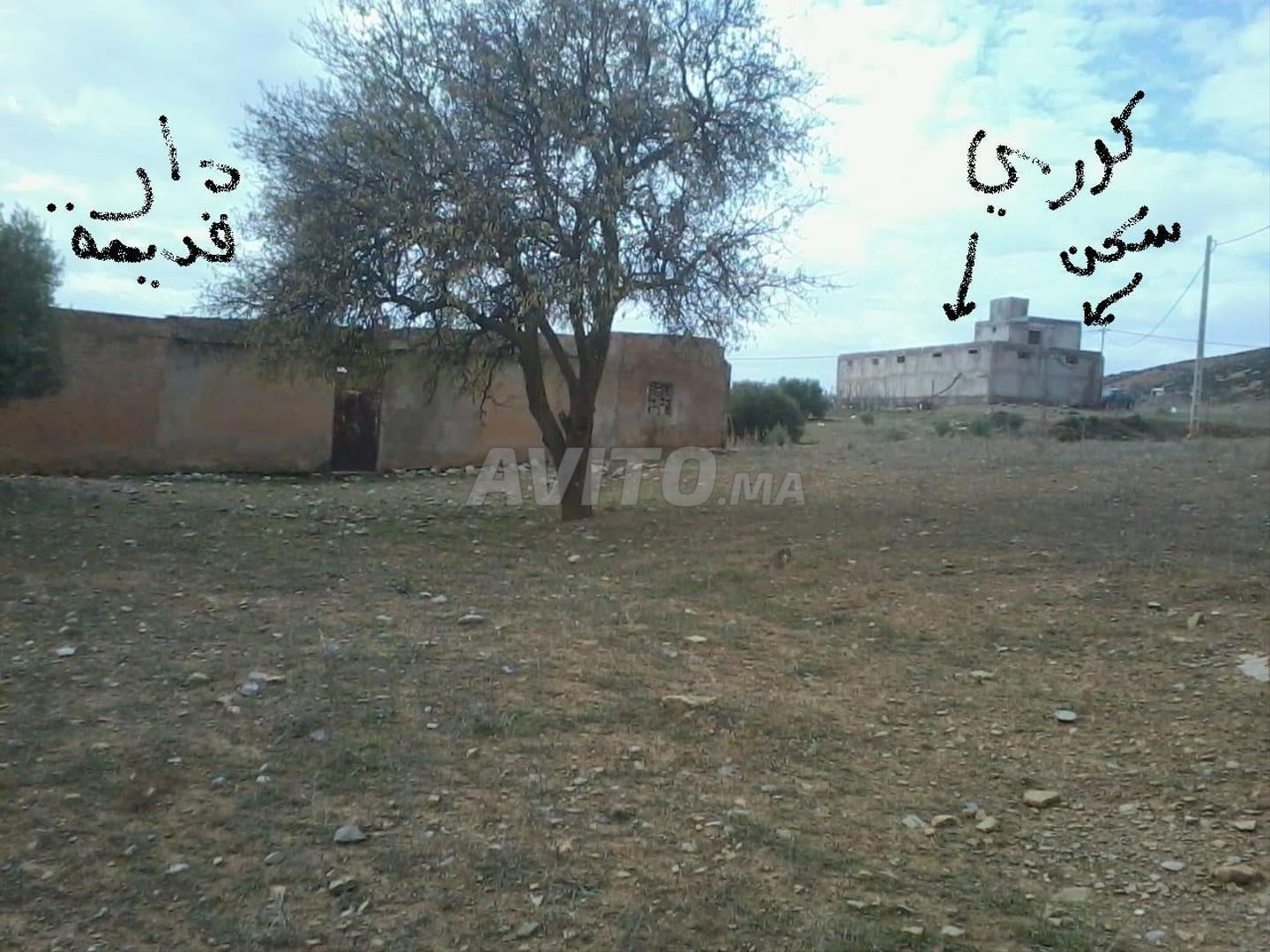 أرض 25000 م² للبيع في الرباط الخير — Photo 11