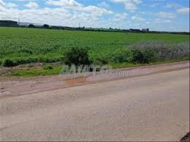 Titled Land for Sale - Surroundings of Bir Jdid — Photo 2
