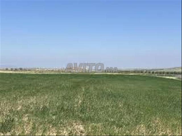 Titled Land for Sale - Surroundings of Bir Jdid — Photo 4