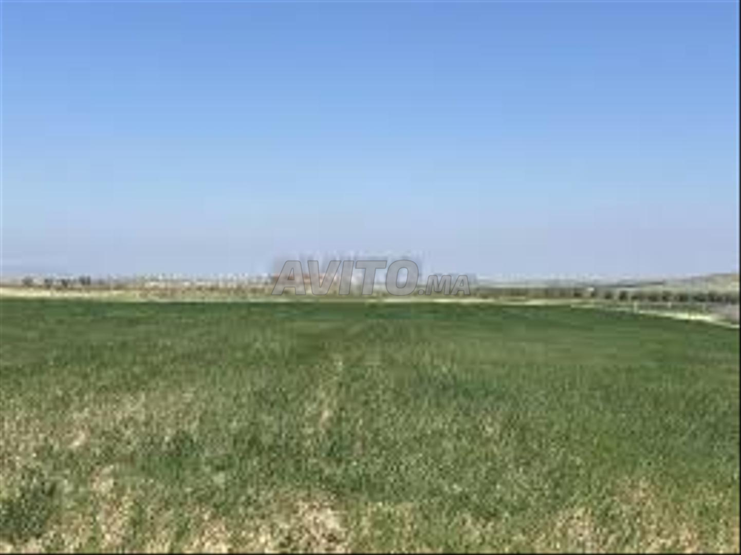 Titled Land for Sale - Surroundings of Bir Jdid — Photo 3