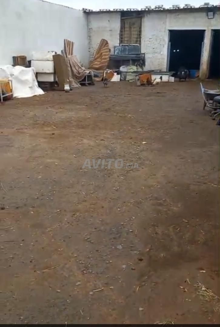 محل تجاري 300 م² للبيع في آين أودا — Photo 4