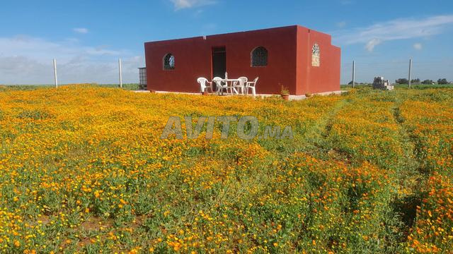 Farm 1 ha for sale near Casablanca — Photo 4