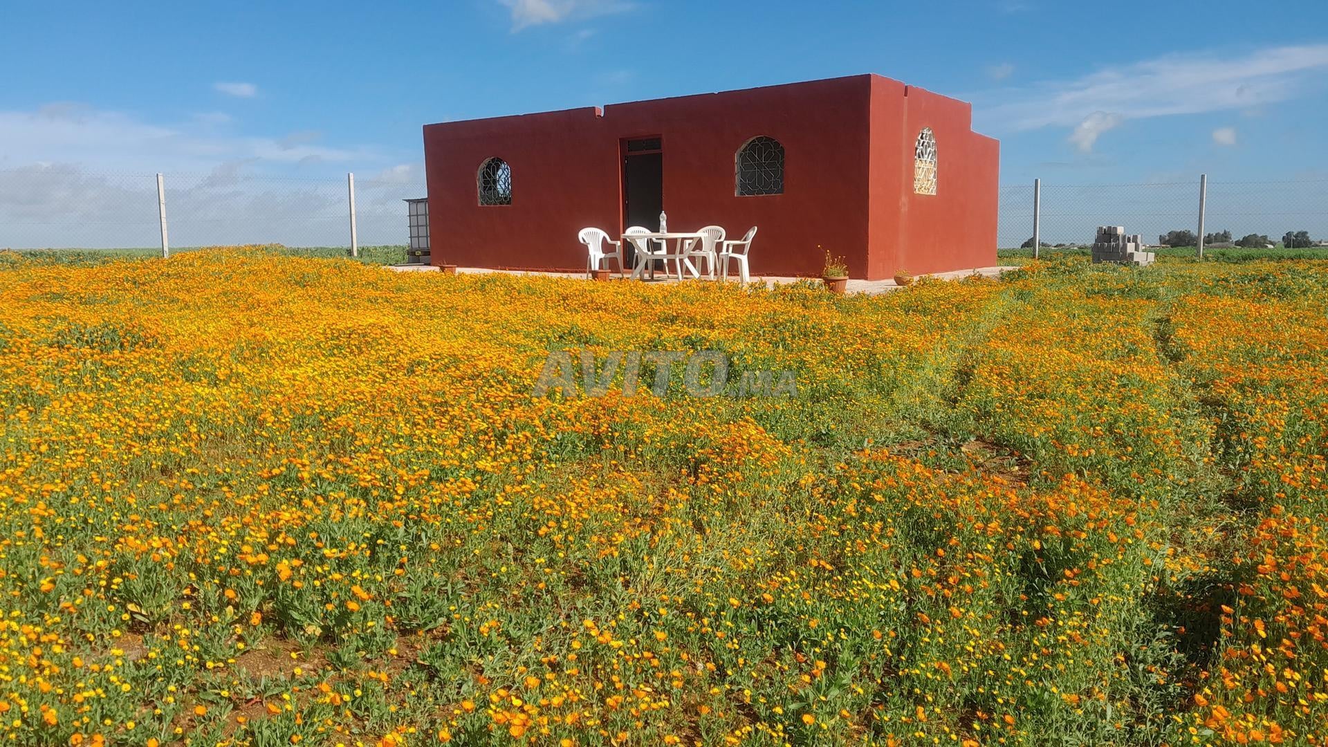 Farm 1 ha for sale near Casablanca — Photo 3