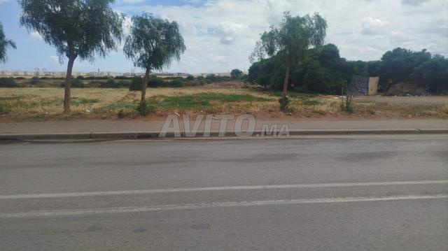 Land for sale 1160 m² in Dar Bouazza — Photo 6