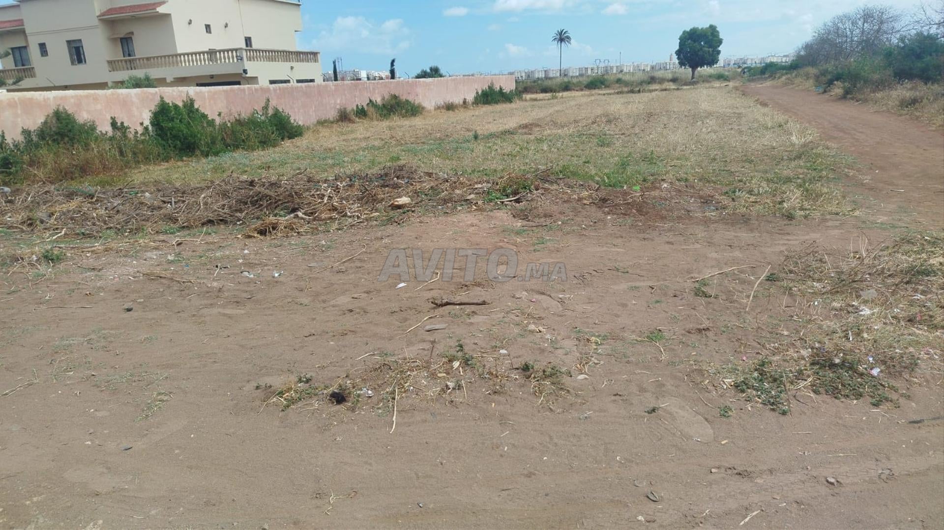 Land for sale 1160 m² in Dar Bouazza — Photo 3