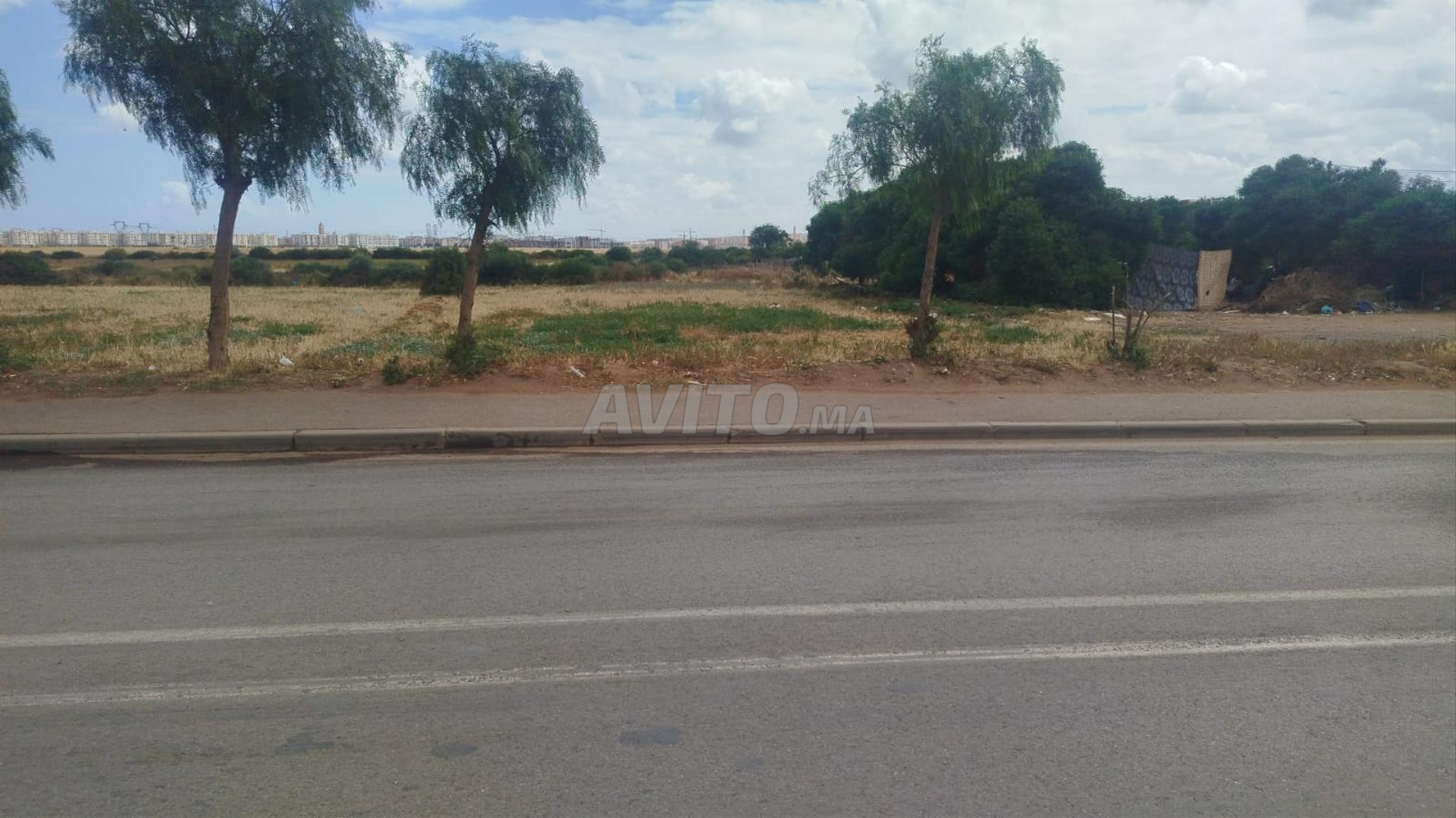 Land for sale 1160 m² in Dar Bouazza — Photo 5