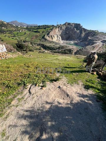 Land for sale, 5270 m², Tétouan — Photo 9