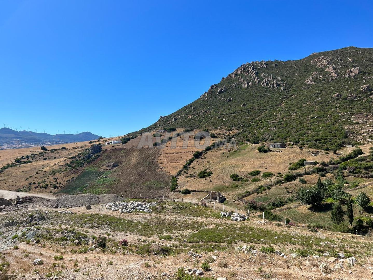Land for sale, 5270 m², Tétouan — Photo 4