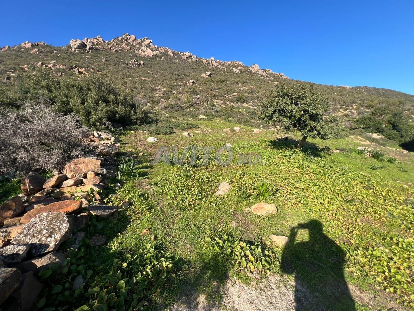 Land for sale, 5270 m², Tétouan — Photo 6