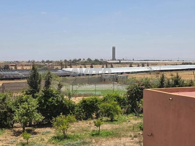 Land 28000 m² for sale in Belfaa — Photo 3