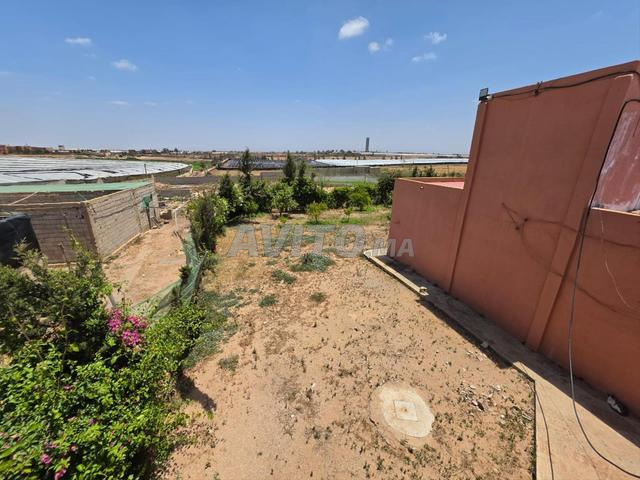Land 28000 m² for sale in Belfaa — Photo 7