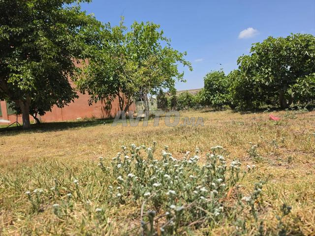 Land 28000 m² for sale in Belfaa — Photo 15