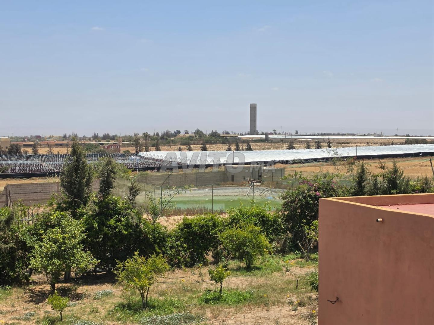 Land 28000 m² for sale in Belfaa — Photo 4