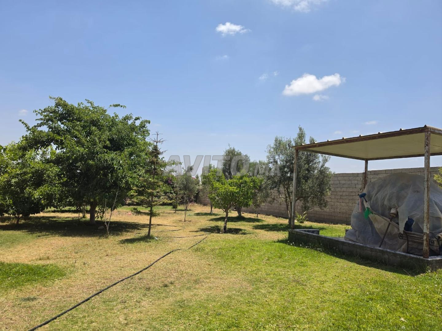 Land 28000 m² for sale in Belfaa — Photo 6