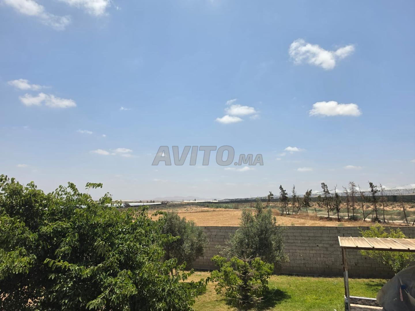 Land 28000 m² for sale in Belfaa — Photo 12