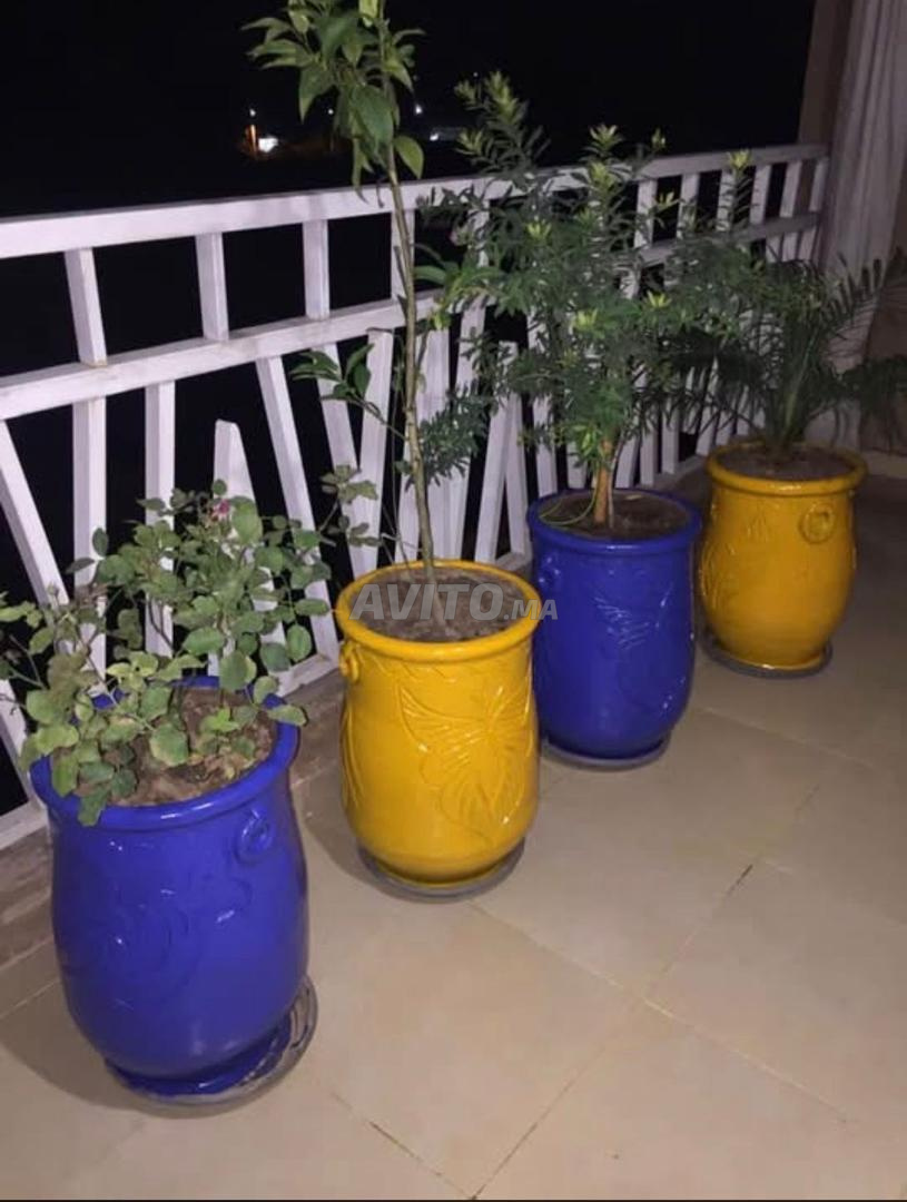Studio 55 m² à louer à Marrakech (Route de Casablanca) — Photo 5