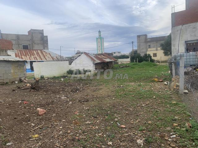 Land 60 m² for sale in Tangier, Cherafat Hekama — Photo 2