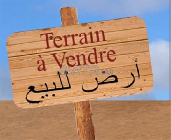 أرض زراعية للبيع 5800 م² في سخيرات — Photo 2