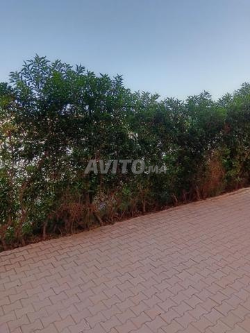 Apartment for Sale in Marrakech (Bouaakkaz) — Photo 15