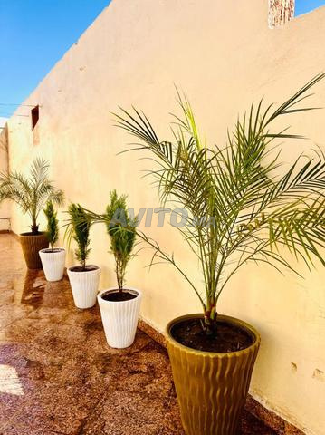 Appartement meublé à louer par mois à Béni Mellal — Photo 8