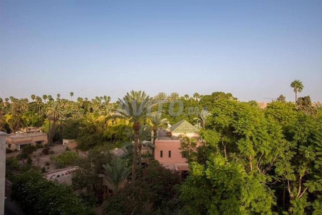 1 Bedroom Apartment 58 m² for Rent in Marrakech (Gueliz) — Photo 14
