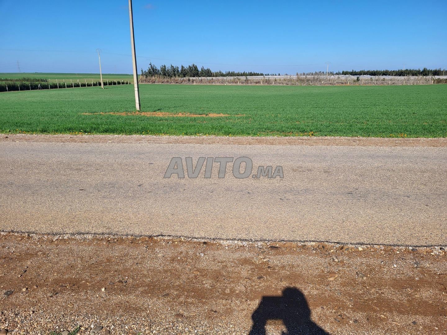 Titled agricultural land for sale in Bir Jdid — Photo 4