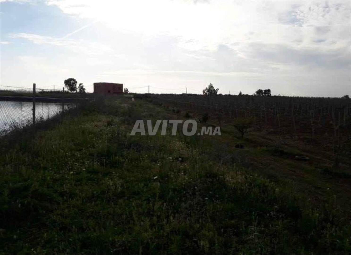 Terrain de 28 hectares à vendre à Rabat — Photo 3