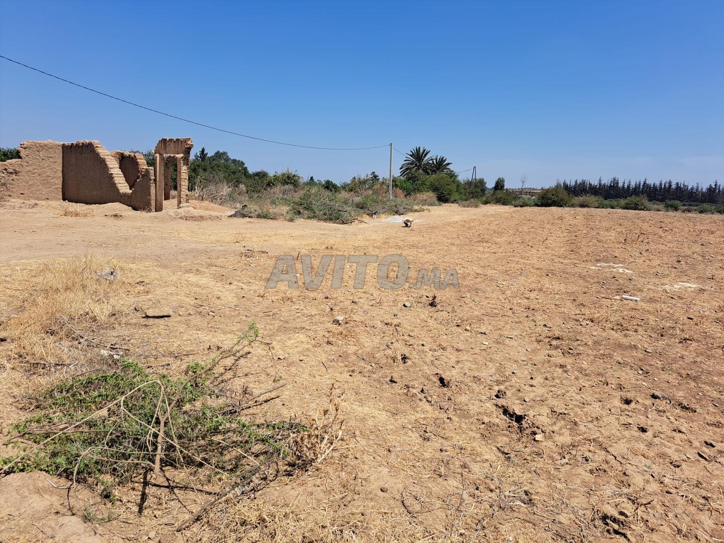 Terrain 1300 m² à vendre à Dar Bel Amri — Photo 2