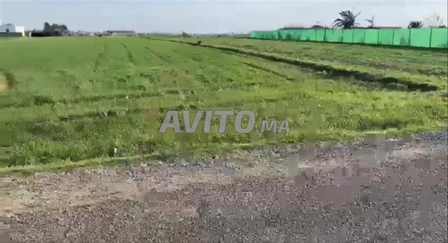 أرض مسجّلة للبيع في بير جديد — Photo 5