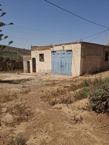 Terrain 20000 m² à vendre à Berkane — Photo 13