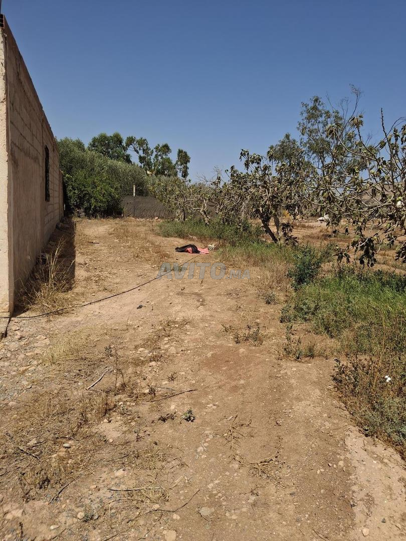 Terrain 20000 m² à vendre à Berkane — Photo 10